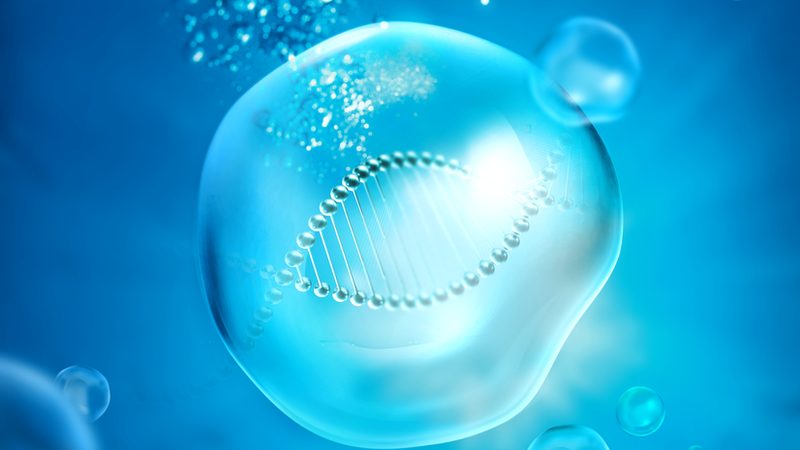 生物医药外包采购，你需要注意的四大要点