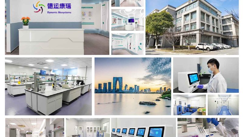 基因检测与筛查：揭秘基因检测和基因筛查的流程步骤