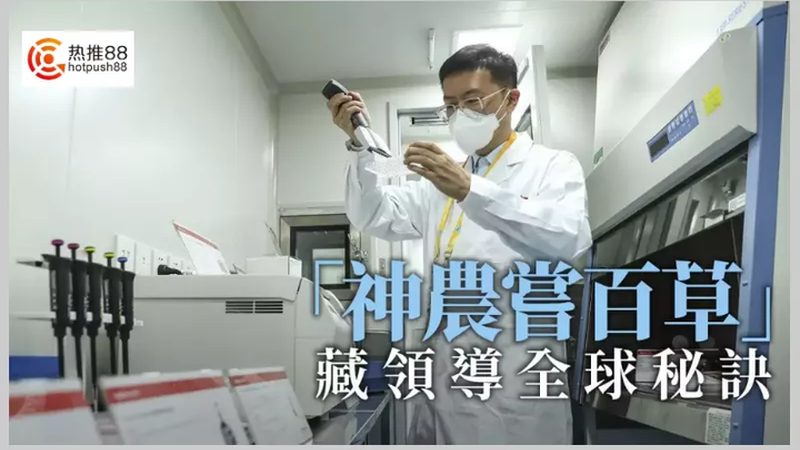 细胞培养代理解析：揭秘背后的关键要素