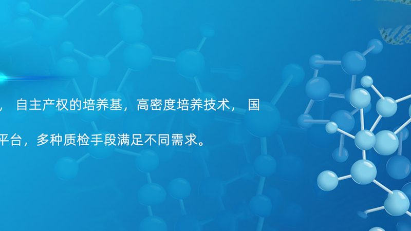 PCR试剂盒型号选择：揭秘背后的科学逻辑