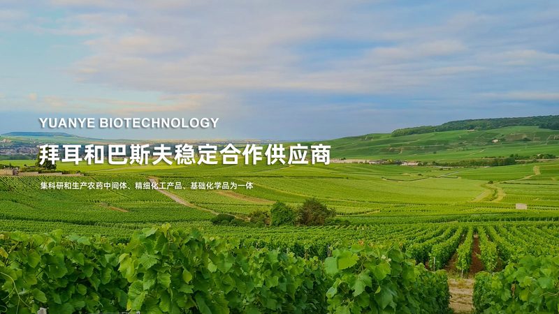 CRS优化步骤流程：揭秘生物制药研发的关键环节