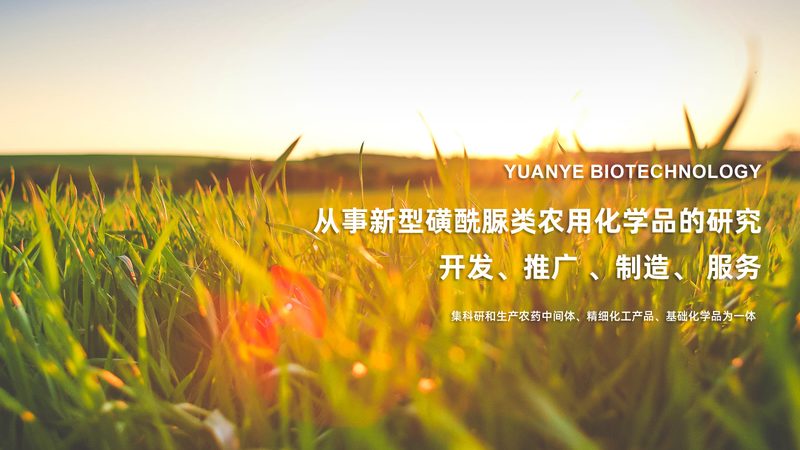 CDMO项目合作风险评估：如何规避潜在风险，保障项目顺利进行