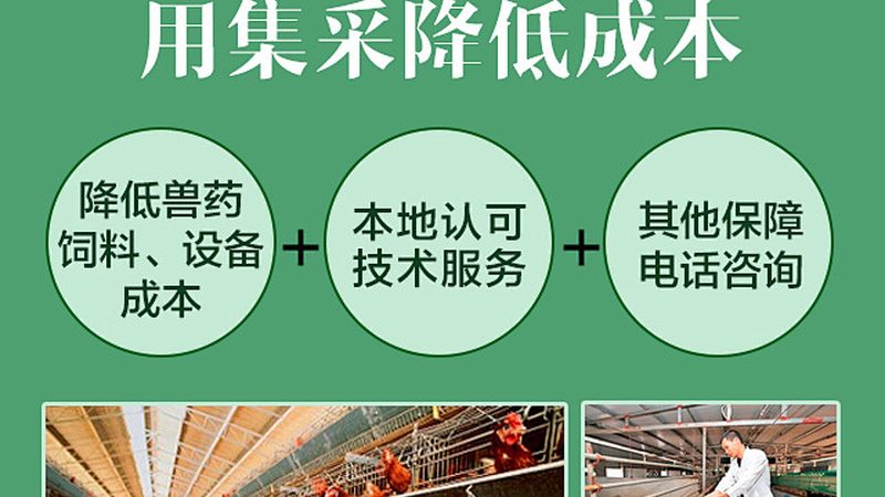 CDMO与CMO：揭秘医药研发中的关键合作伙伴
