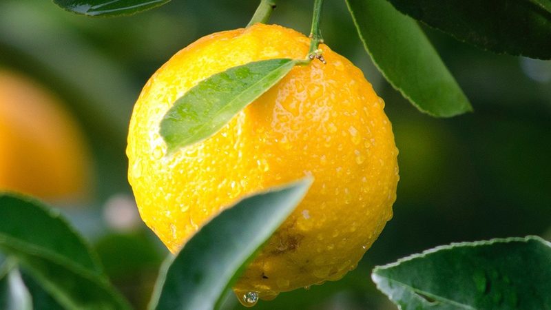 生物科技产品厂家直销：揭秘背后的真相与误区
