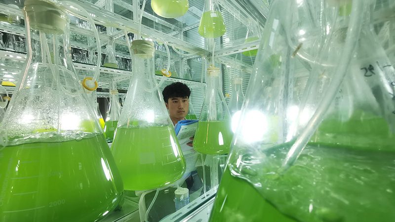一次性生物反应器定制：揭秘定制化背后的工艺奥秘